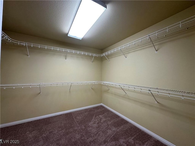 spacious closet with carpet floors