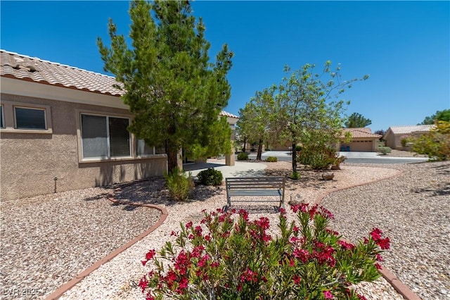10301 Coal Creek Pl, Las Vegas, NV 89134 - view of yard