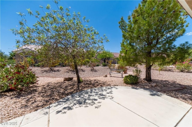 10301 Coal Creek Pl, Las Vegas, NV 89134 - view of patio