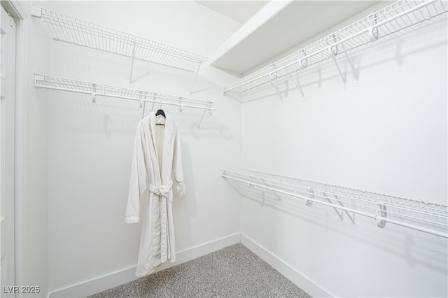 10301 Coal Creek Pl, Las Vegas, NV 89134 - spacious closet featuring carpet