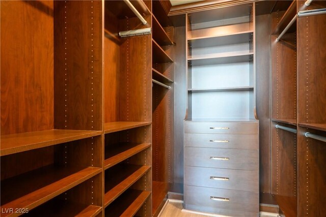 2700 S Las Vegas Blvd Unit 4305, Las Vegas, NV 89109 - view of spacious closet
