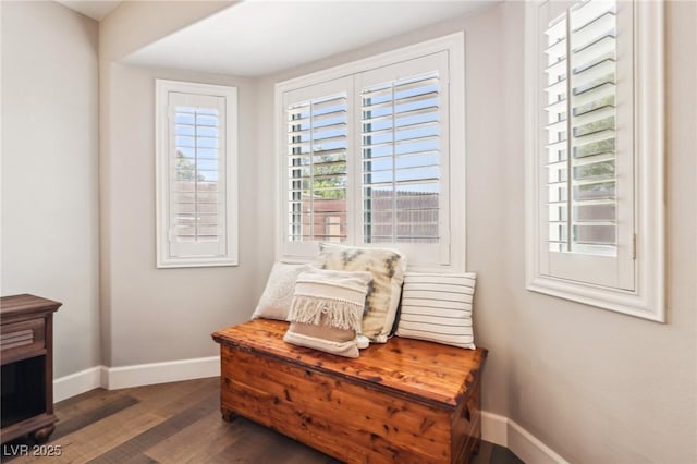 sitting room featuring baseboards and wood finished floors