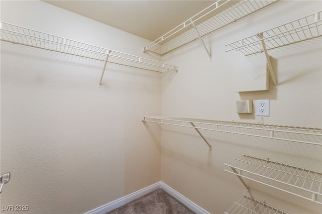 4400 S Jones Blvd Unit 2033, Las Vegas, NV 89103 - walk in closet featuring carpet