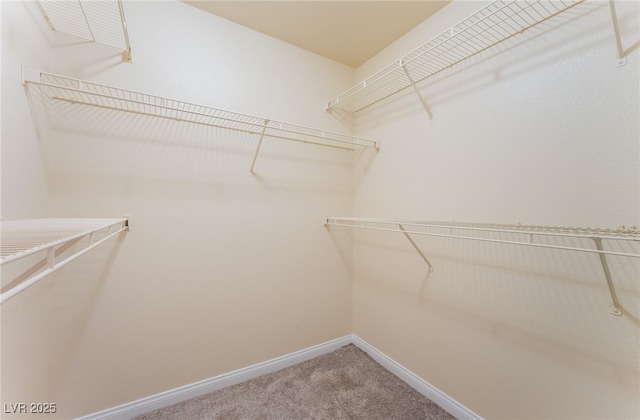 4400 S Jones Blvd Unit 2033, Las Vegas, NV 89103 - spacious closet with carpet