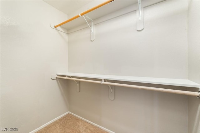 walk in closet featuring light colored carpet