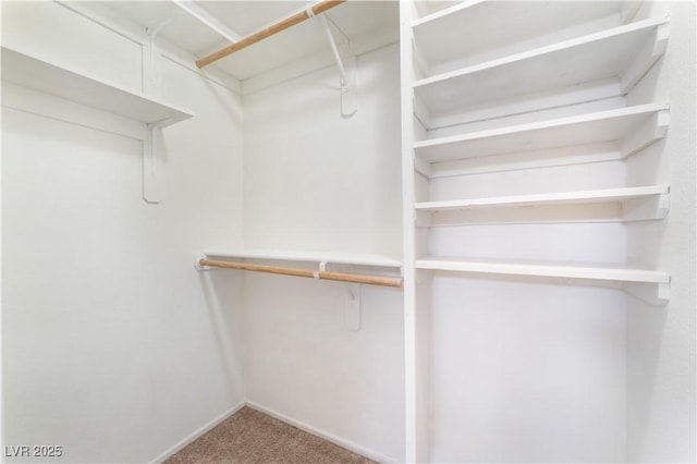 spacious closet with carpet floors