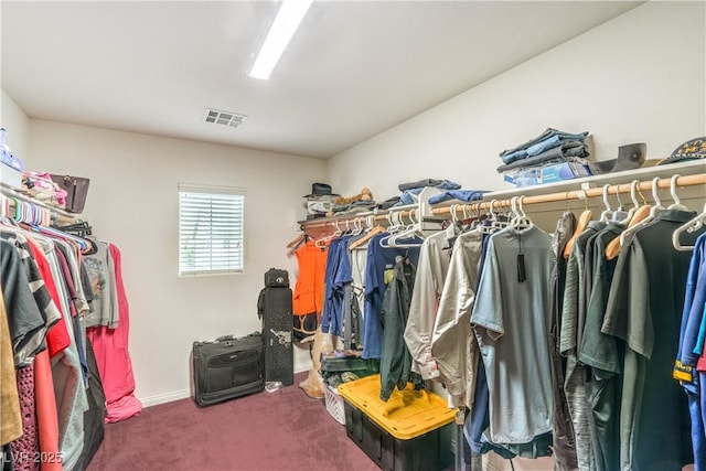 5024 Granite Creek Ct, Las Vegas, NV 89131 - walk in closet with carpet floors