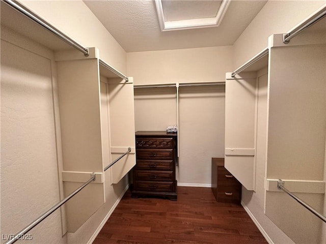 2558 Divine Sky Dr, Henderson, NV 89044 - spacious closet featuring dark wood-style floors