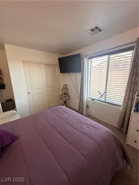 369 Stone Fly Rd, North Las Vegas, NV 89032 - carpeted bedroom with a closet