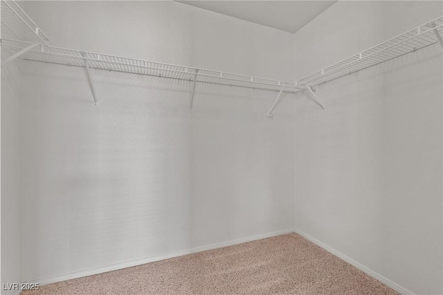 walk in closet featuring carpet