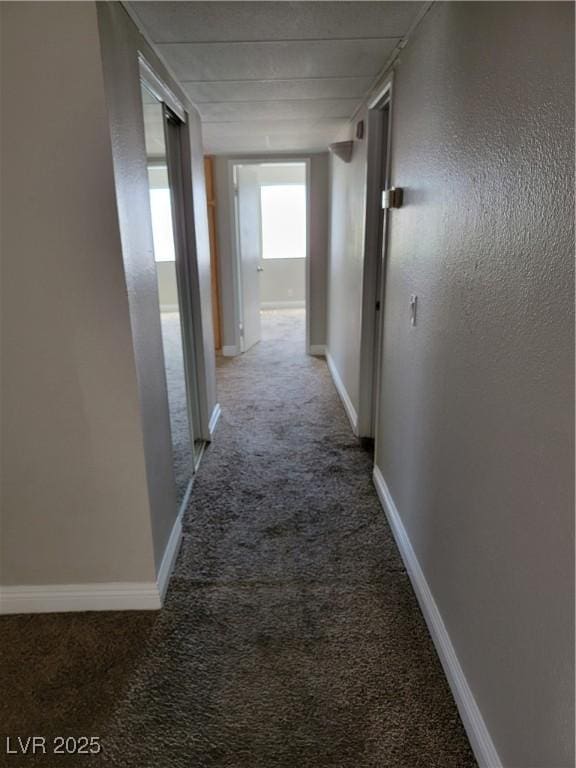 3151 Soaring Gulls Dr Unit 2101, Las Vegas, NV 89128 - hall with carpet and baseboards