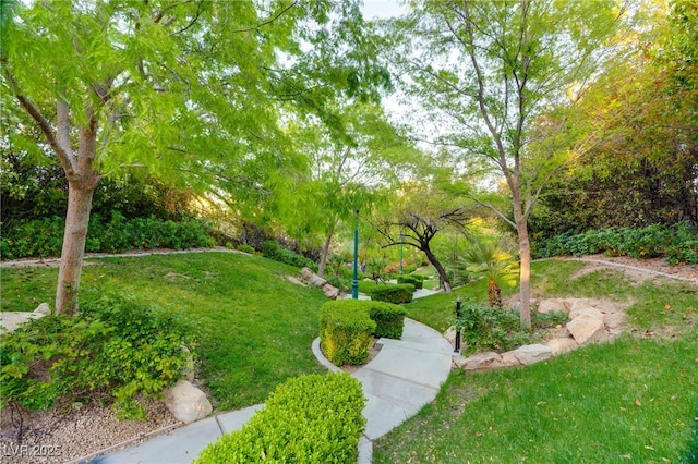 10717 Beringer Dr, Las Vegas, NV 89144 - view of grassy yard