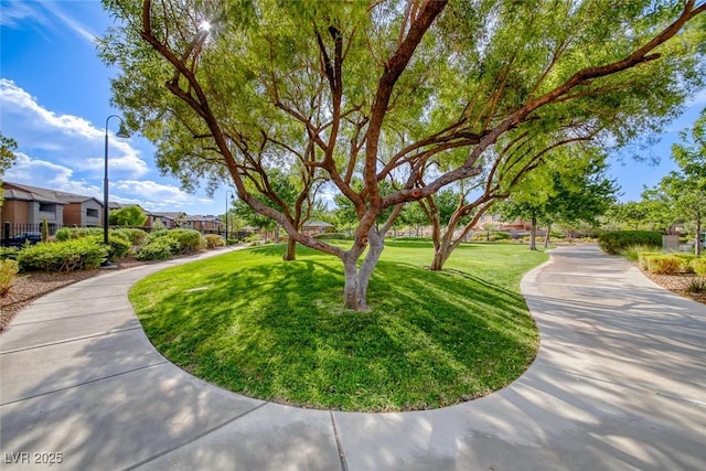 76 Stock Option St Unit 2, Henderson, NV 89074 - photo 41