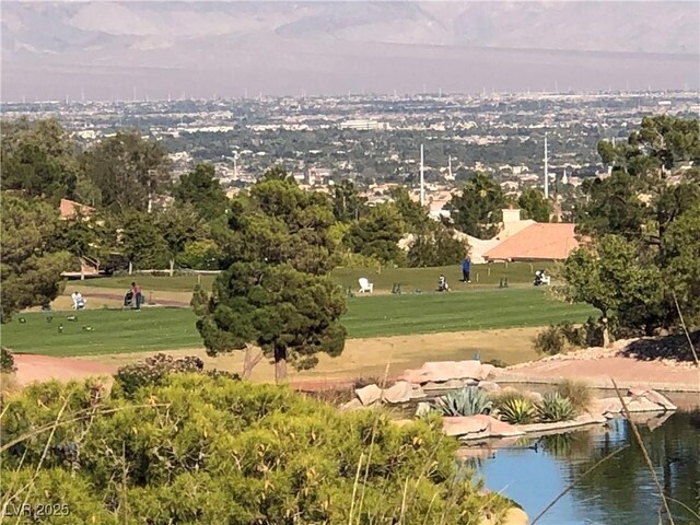 10832 Heritage Hills Dr, Las Vegas, NV 89134 - photo 42