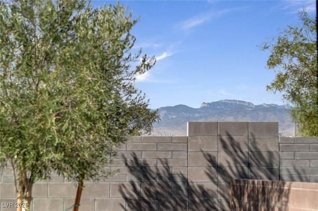 9903 Spinel Pl, Las Vegas, NV 89143 - mountain view