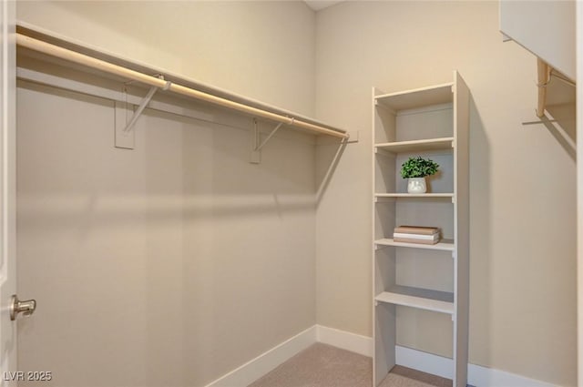 9903 Spinel Pl, Las Vegas, NV 89143 - spacious closet featuring carpet floors