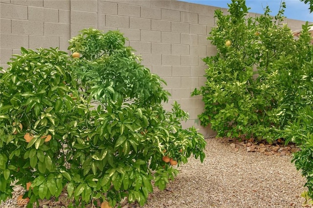 9046 Barium Rock Ave, Las Vegas, NV 89143 - exterior view of fence