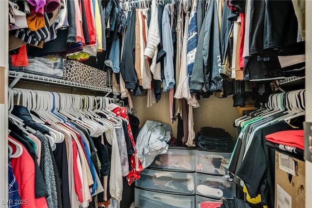 view of spacious closet