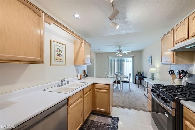 2902 Aztec Lily Ln, Henderson, NV 89074 - kitchen featuring appliances with stainless steel finishes, a sink, light brown cabinets, ceiling fan, and light colored carpet