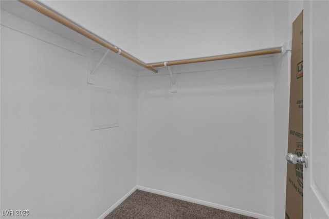 walk in closet featuring carpet