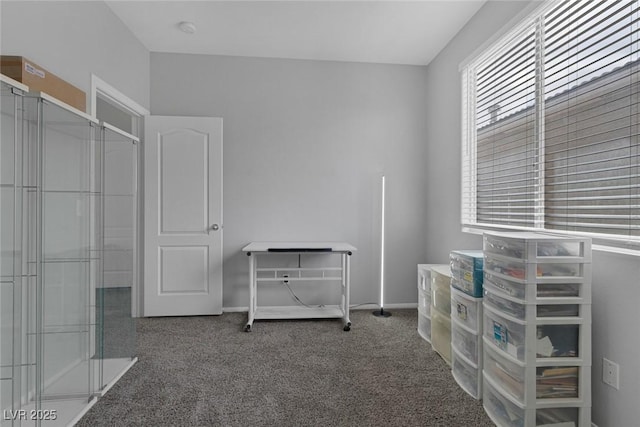 bedroom with carpet and baseboards