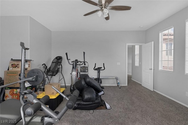 exercise room featuring healthy amount of natural light, a ceiling fan, carpet floors, and baseboards