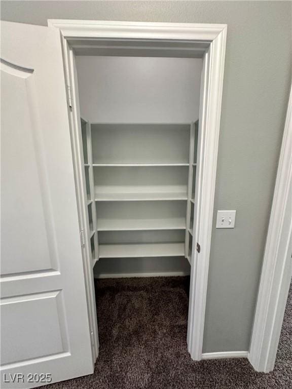 3964 Irvin Ave, Las Vegas, NV 89141 - view of closet