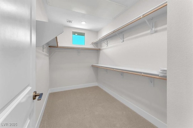 spacious closet featuring carpet flooring