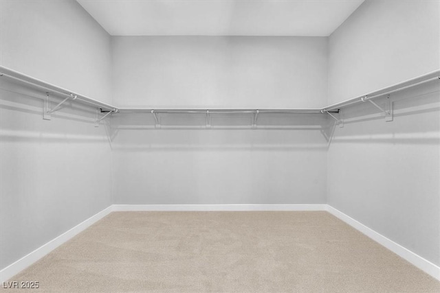 11707 Hatchling Ave, Las Vegas, NV 89138 - spacious closet with carpet floors