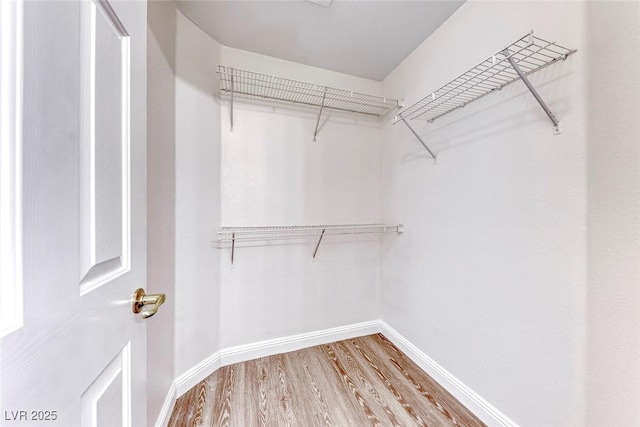11028 Meadow Leaf Ave, Las Vegas, NV 89144 - walk in closet featuring wood finished floors
