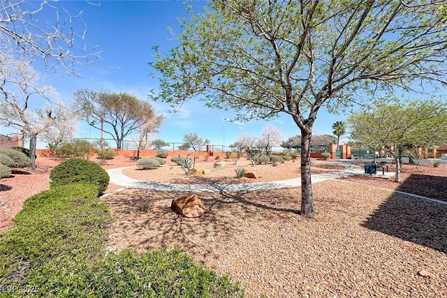 11028 Meadow Leaf Ave, Las Vegas, NV 89144 - view of property's community with fence