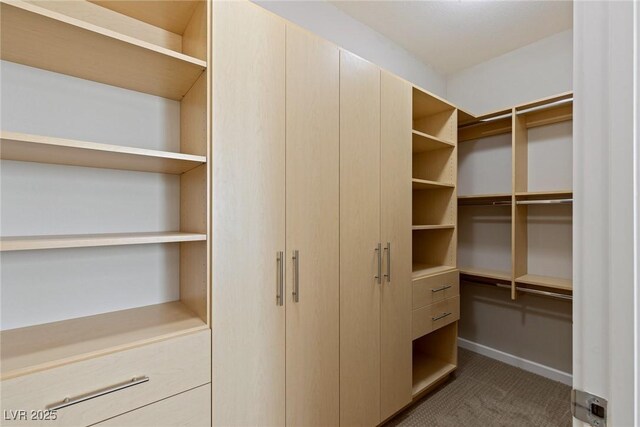 2672 Mystere Ct, Las Vegas, NV 89117 - walk in closet featuring carpet