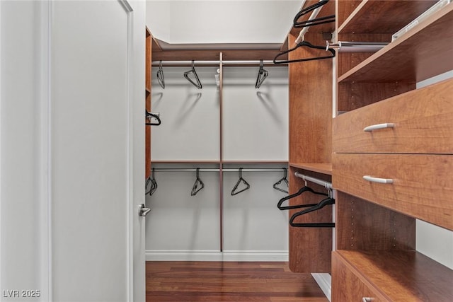 walk in closet featuring wood finished floors