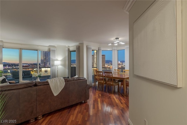 living area featuring dark wood finished floors, crown molding, and a view of city