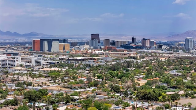 city view featuring a mountainous background