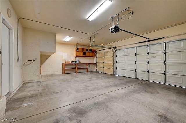 10135 Diving Duck Ave, Las Vegas, NV 89117 - garage featuring a garage door opener