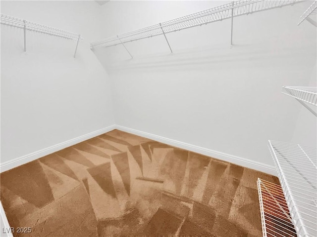 10056 Cranbrook Falls Ct, Las Vegas, NV 89148 - spacious closet with carpet