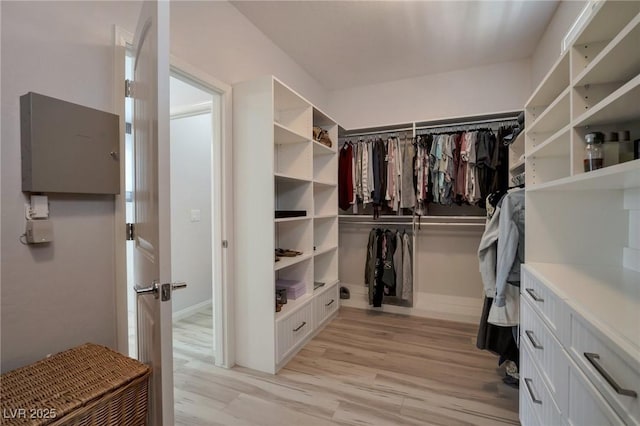 205 Piedmont Alps St, Henderson, NV 89012 - spacious closet featuring light wood-style floors
