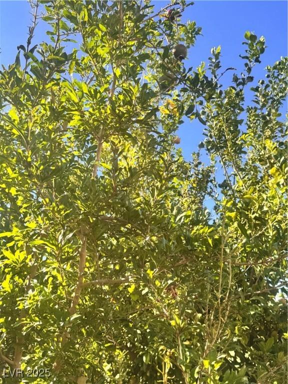 205 Piedmont Alps St, Henderson, NV 89012 - view of undeveloped land