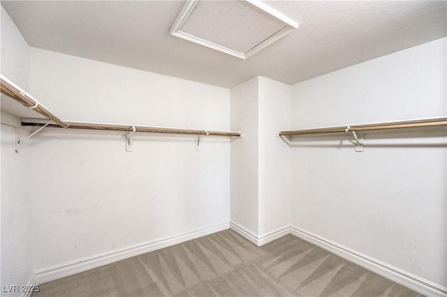 spacious closet with carpet flooring and attic access