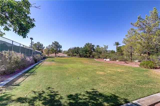 11247 Villa Trentino Ct, Las Vegas, NV 89141 - view of yard
