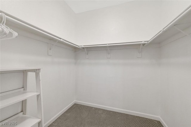 spacious closet with carpet floors
