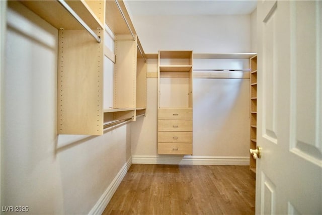 66 Sunset Bay St, Las Vegas, NV 89148 - walk in closet with wood finished floors