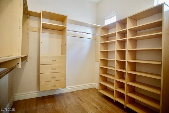 66 Sunset Bay St, Las Vegas, NV 89148 - walk in closet featuring dark wood-style floors