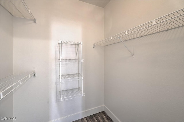 541 Indian Bluff St Unit 201, Las Vegas, NV 89145 - spacious closet with dark wood-style floors