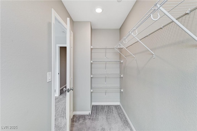 walk in closet featuring carpet floors