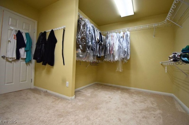6339 Sharp Rock Ct, Las Vegas, NV 89139 - walk in closet with carpet floors