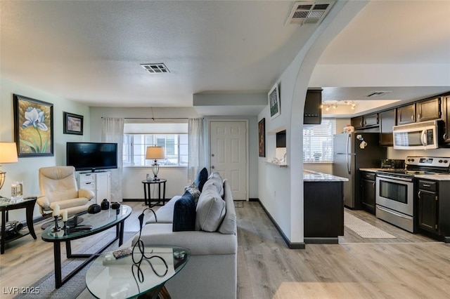 living area featuring plenty of natural light, light wood finished floors, and arched walkways