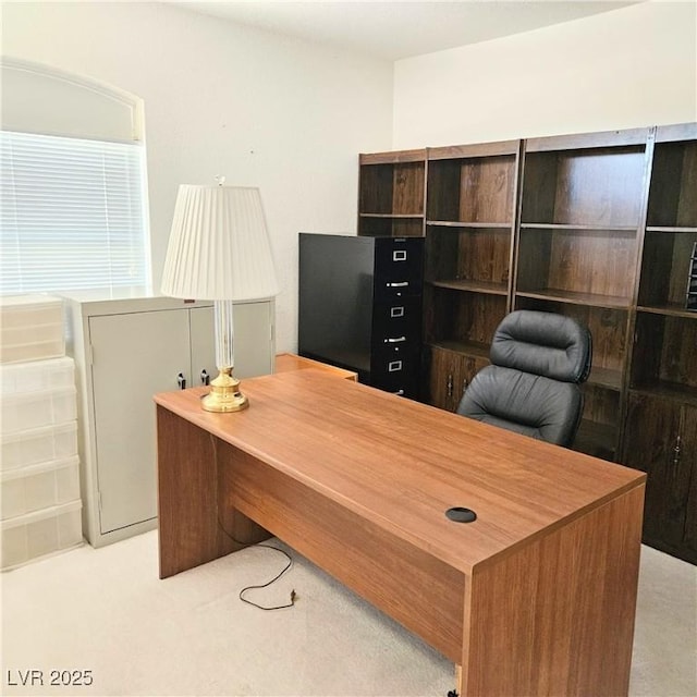 5415 W Harmon Ave Unit 2094, Las Vegas, NV 89103 - office space with light carpet