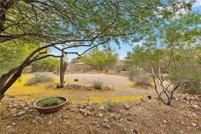 4185 W Arby Ave, Las Vegas, NV 89118 - view of yard with fence